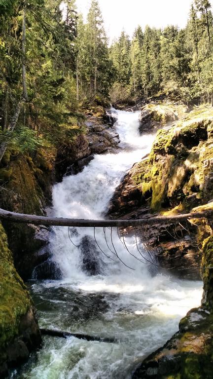 Mulvehill Creek Wilderness Inn And Wedding Chapel Revelstoke Exterior foto
