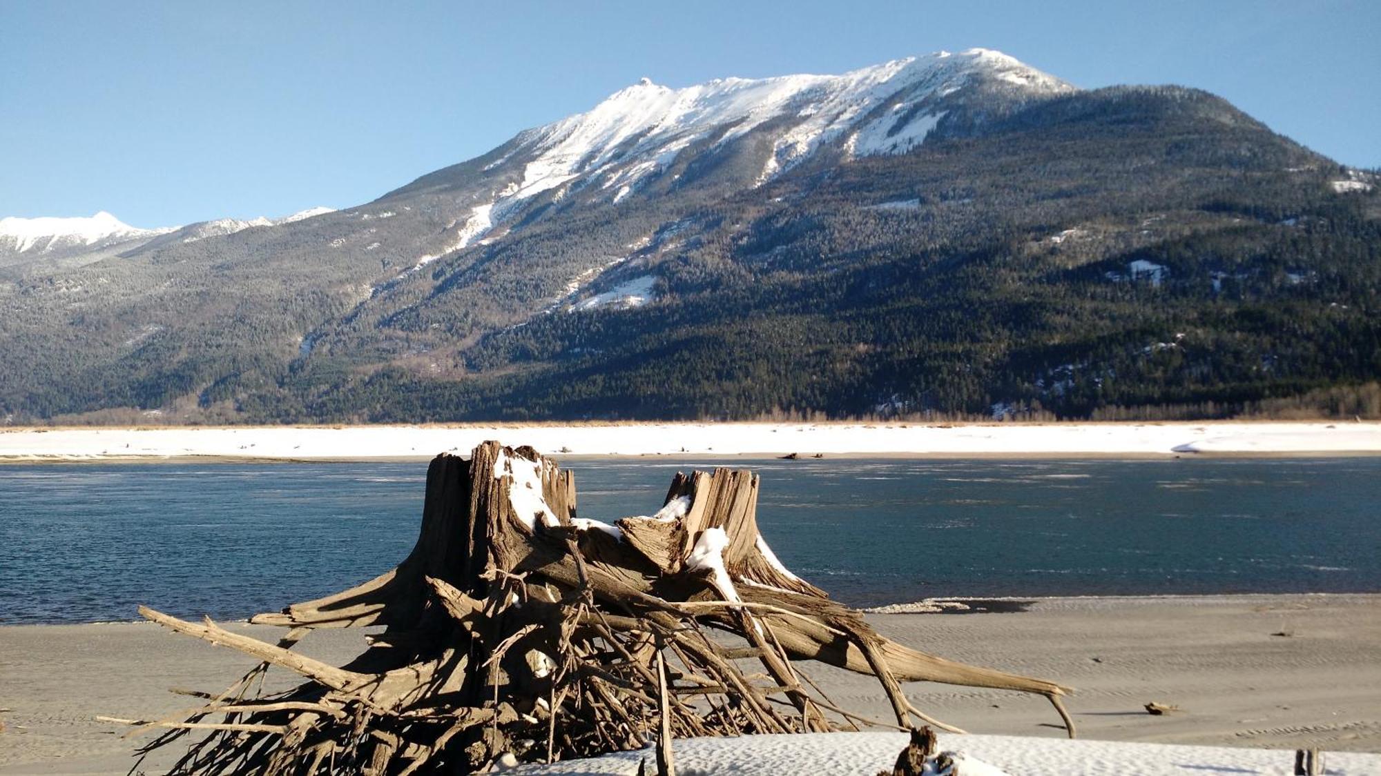 Mulvehill Creek Wilderness Inn And Wedding Chapel Revelstoke Exterior foto